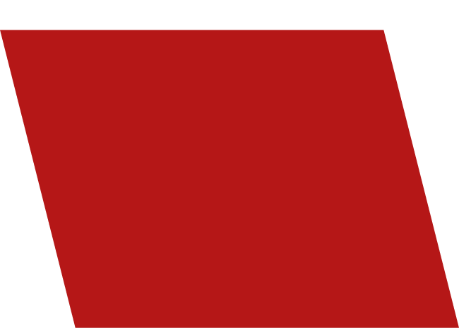 vanadium pentoxide catalyst